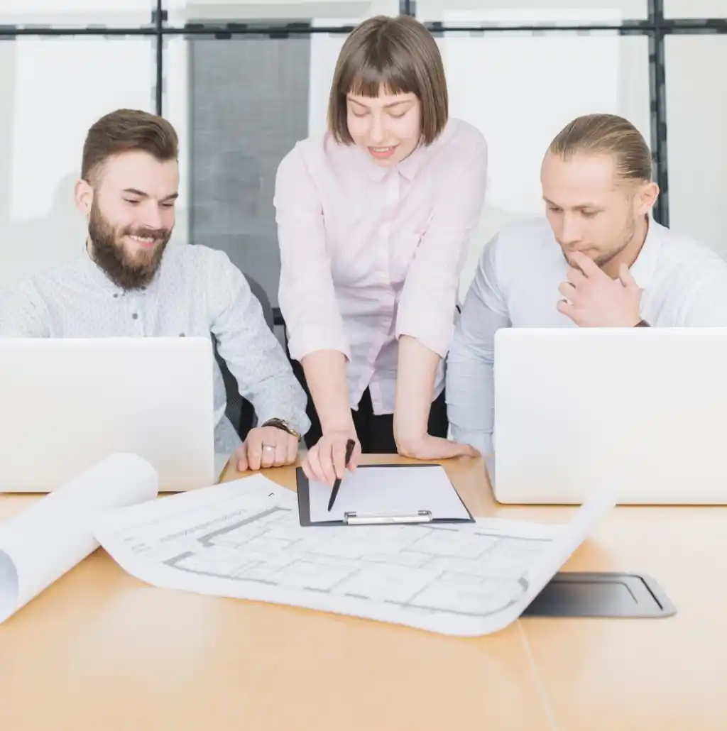 Project Management and Consultation
